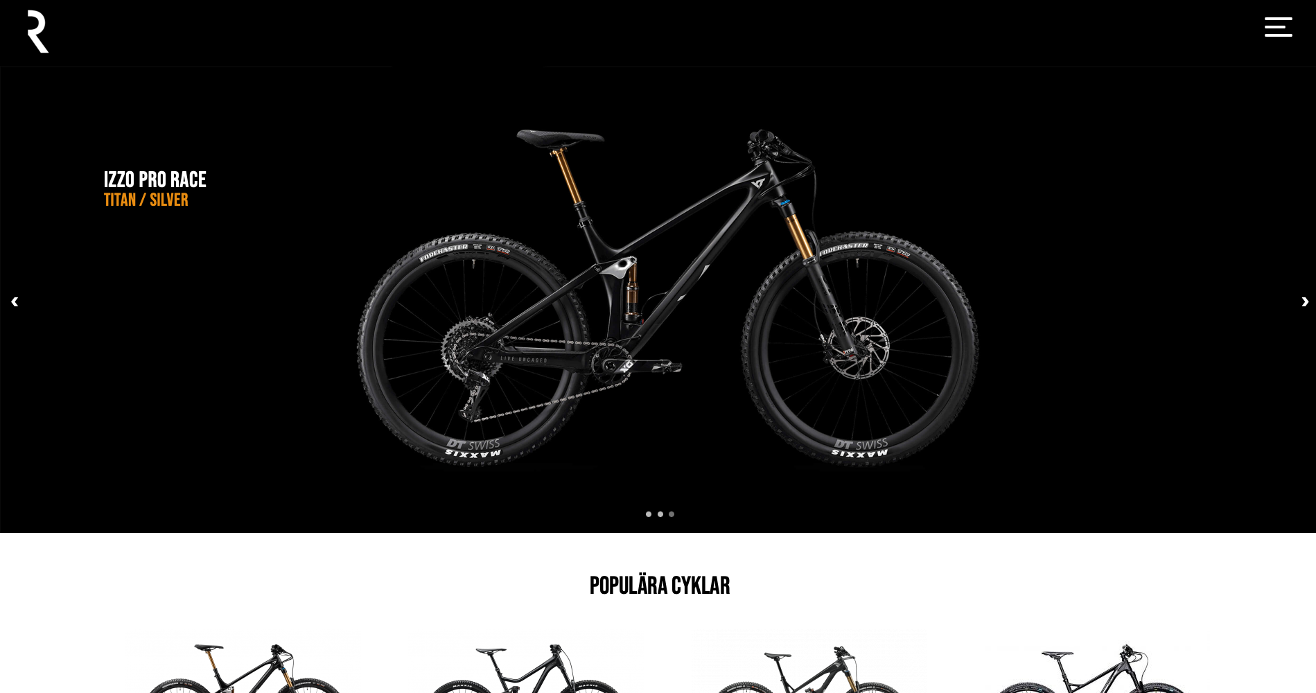 Go to RadBikes webpage RadBikes Webpage